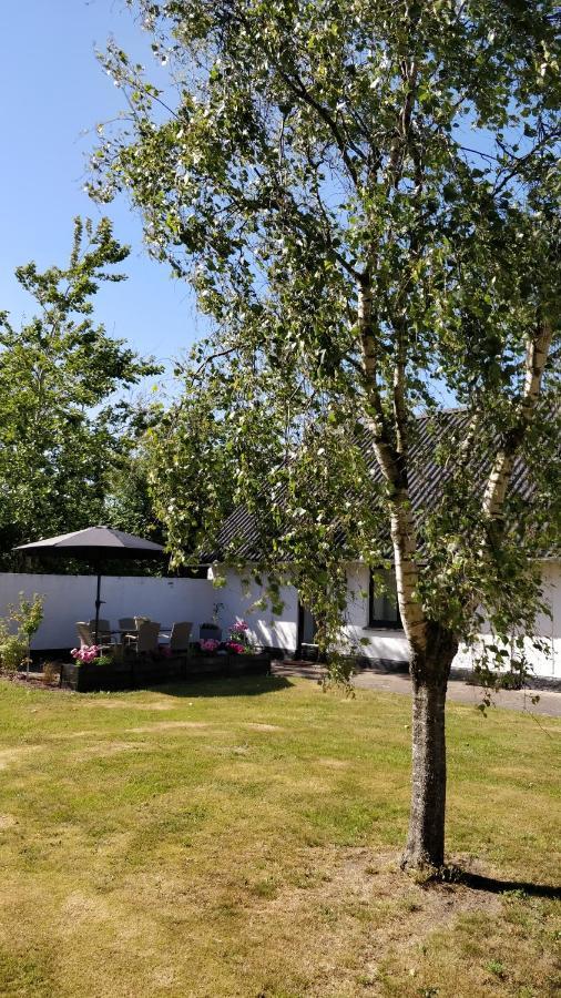 Hotel Lokken House Esterno foto